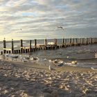 Strand in Zingst