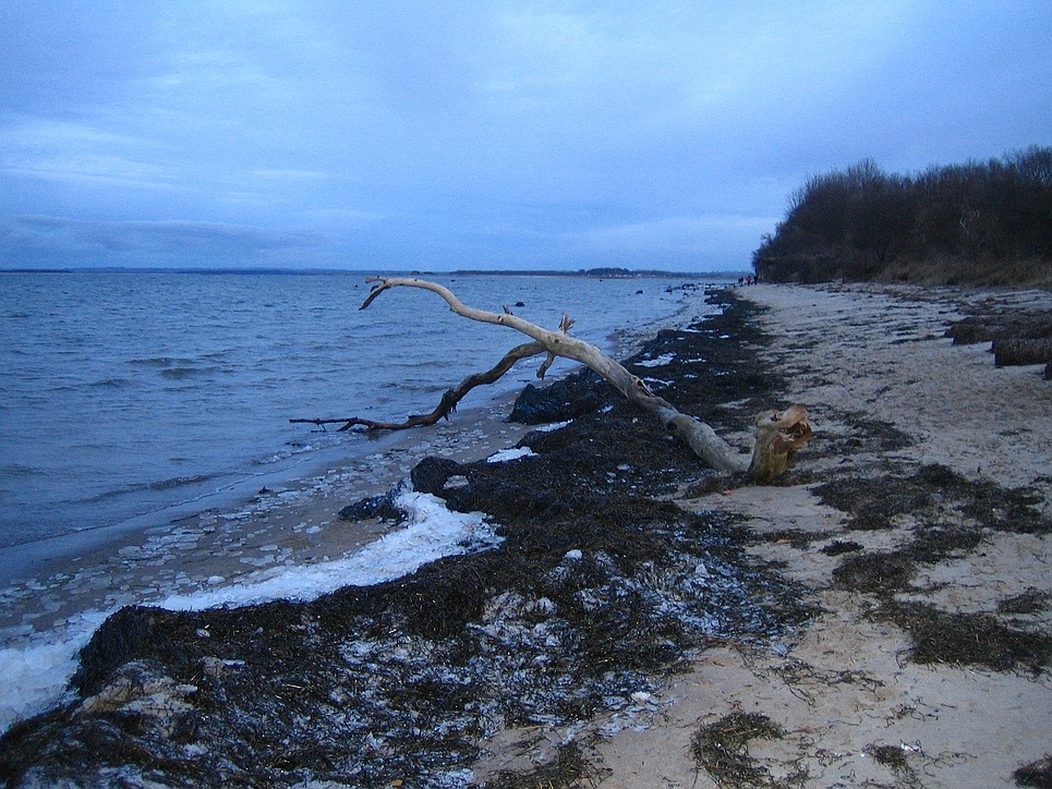 Strand insel Poel