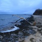 Strand insel Poel