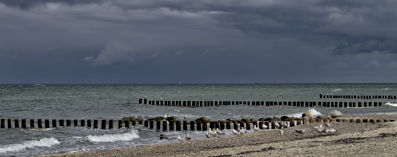 Strand - Kühlungsborn