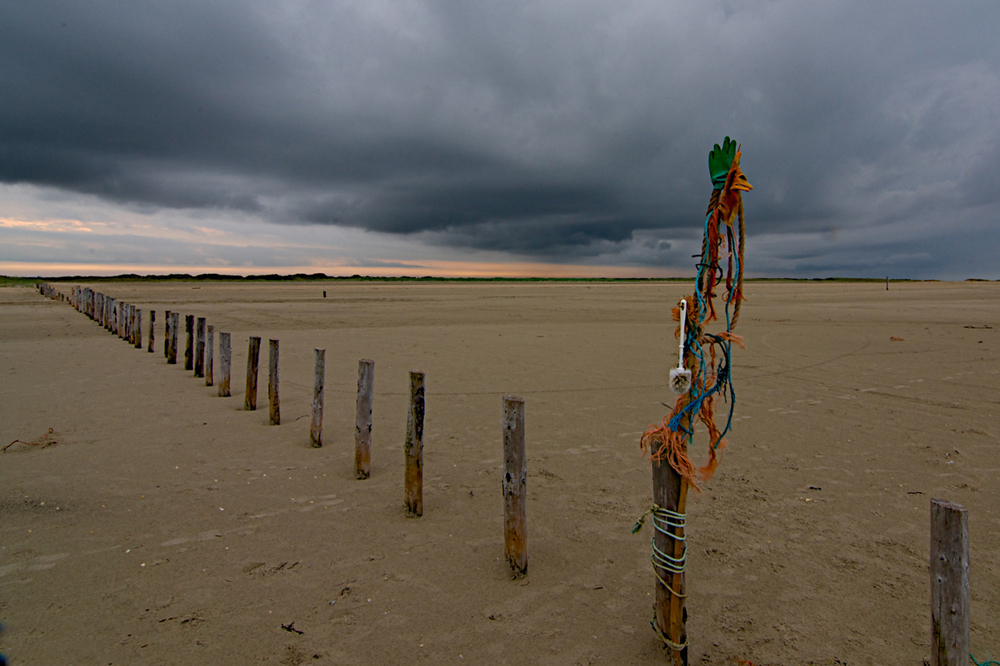 Strand - Kunst - Gockel