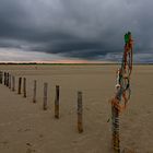 Strand - Kunst - Gockel