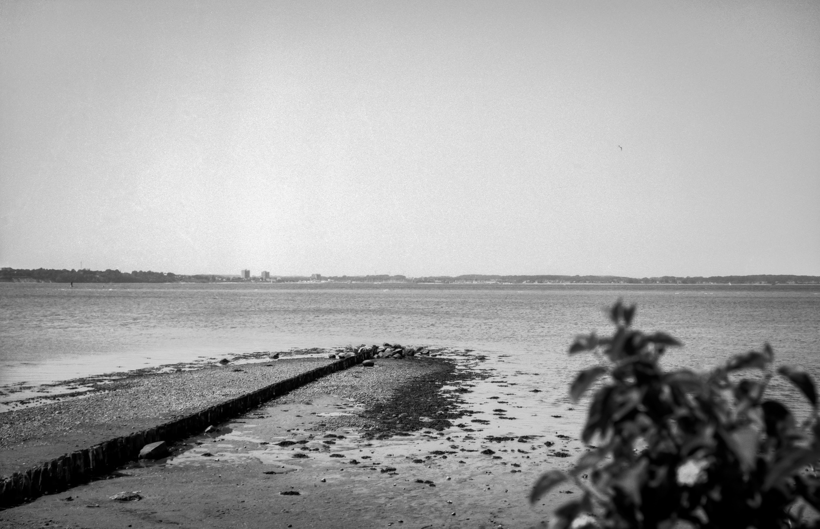 Strand Laboe