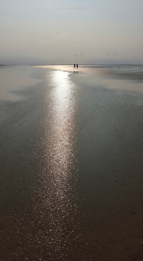 Strand Läufer