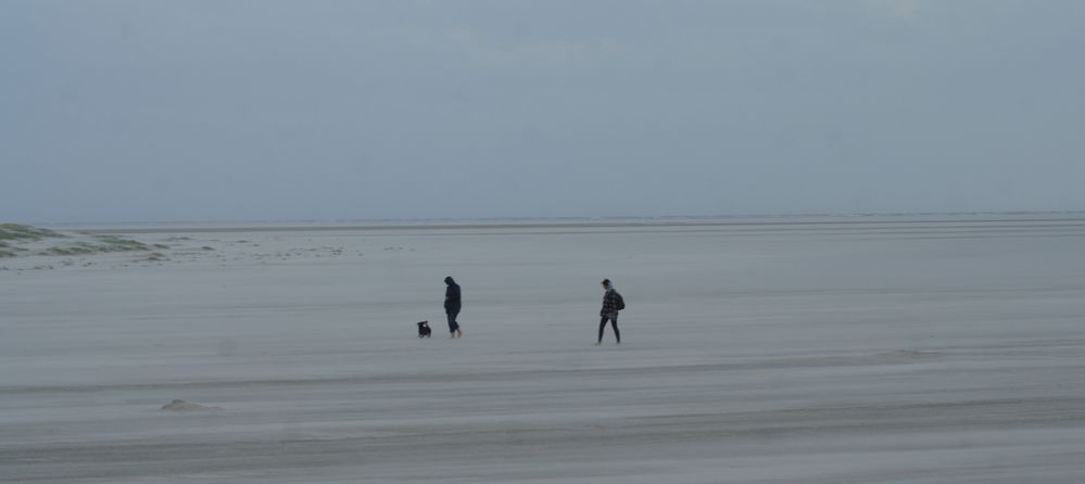 Strand Läufer von S P O 