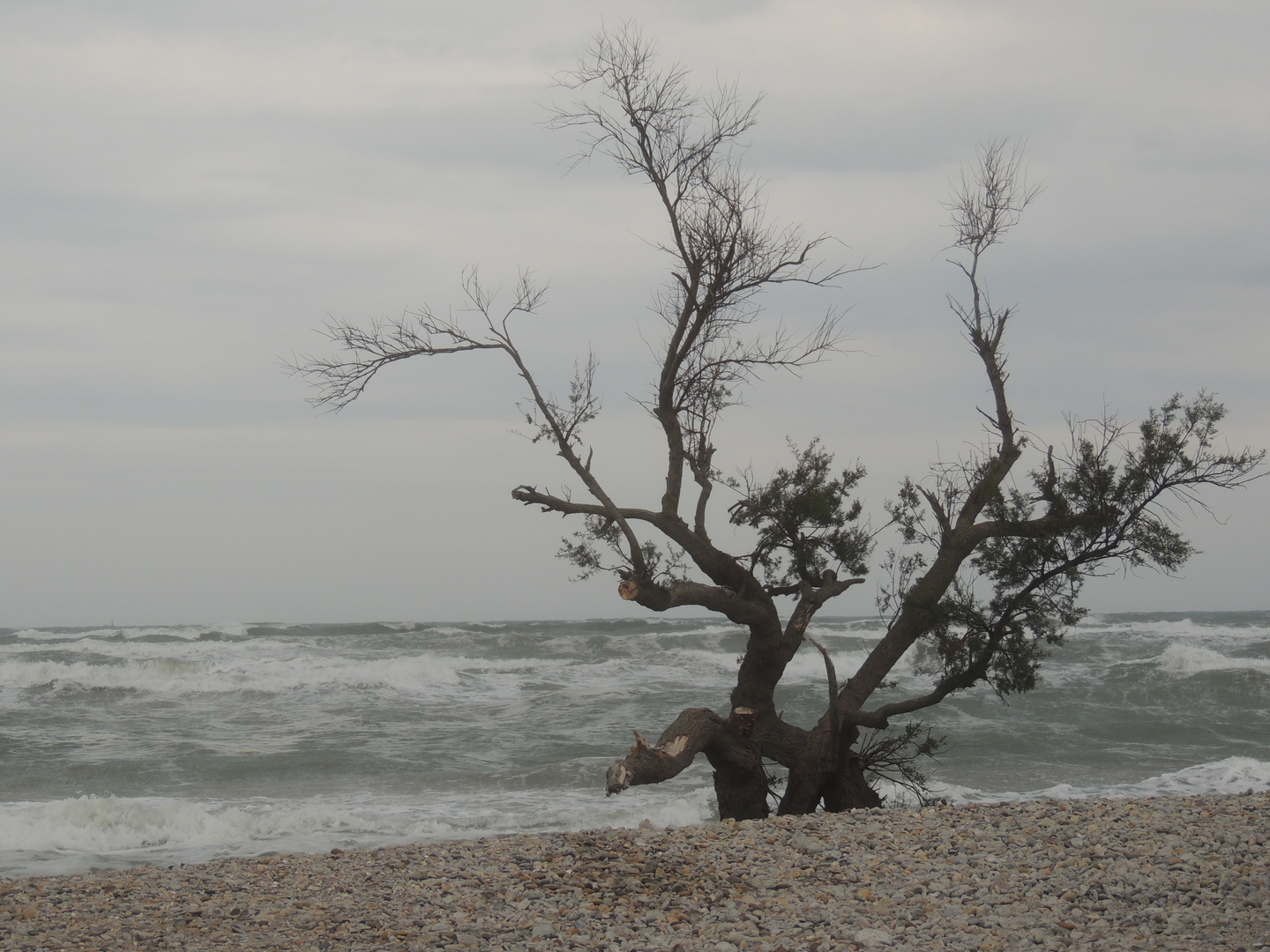 Strand les Aresquiers