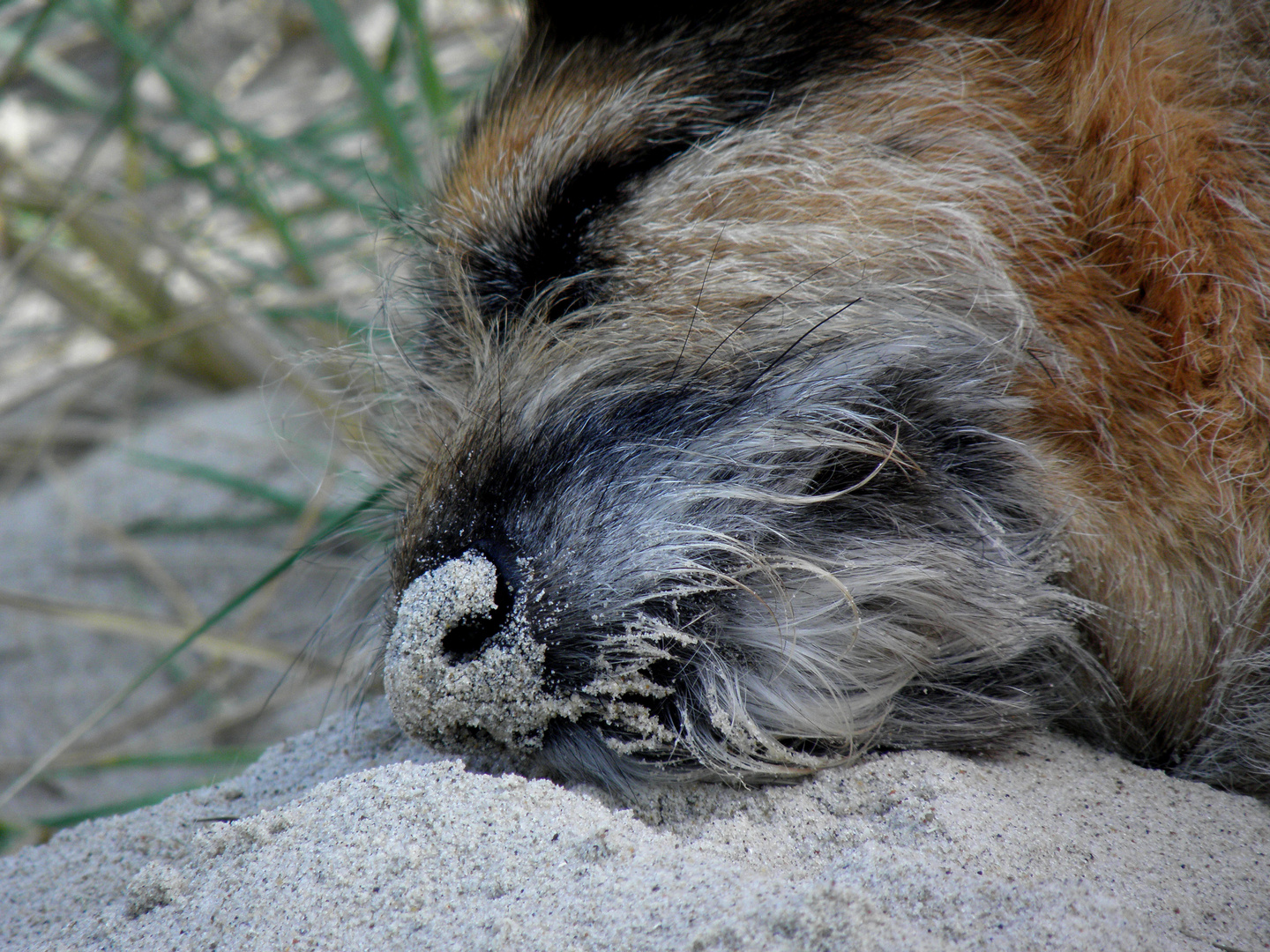 Strand macht Müde