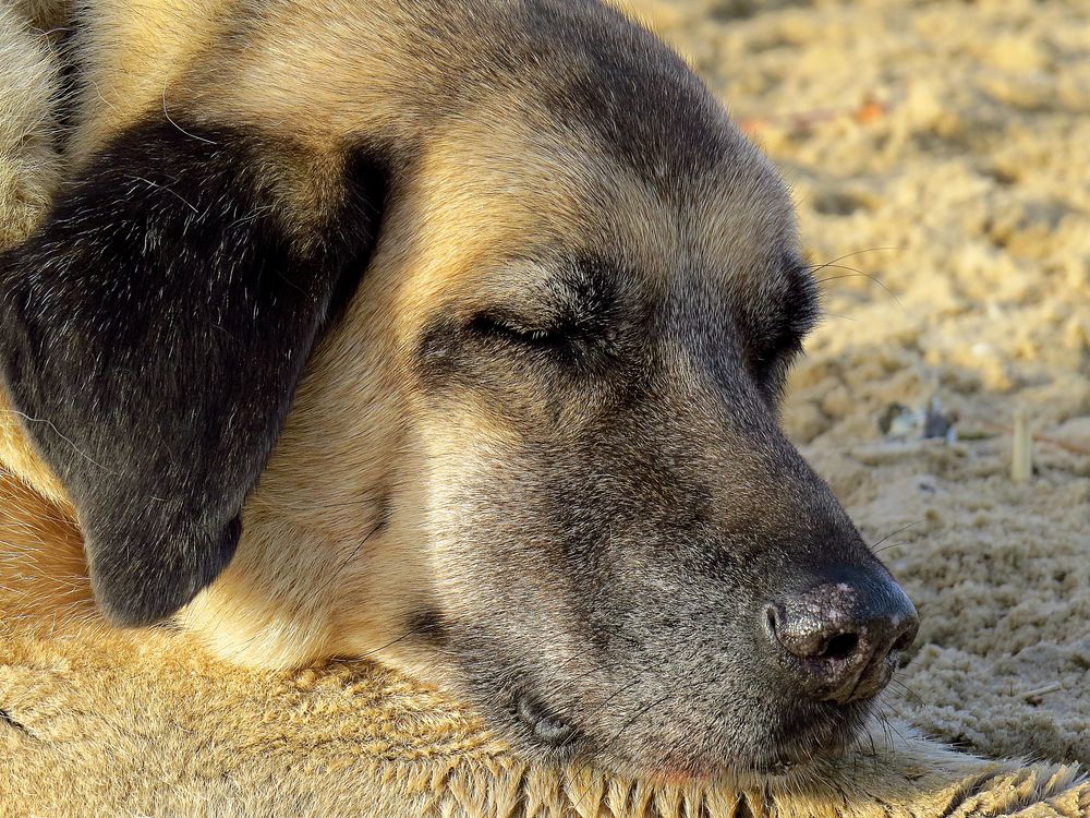 Strand macht müde