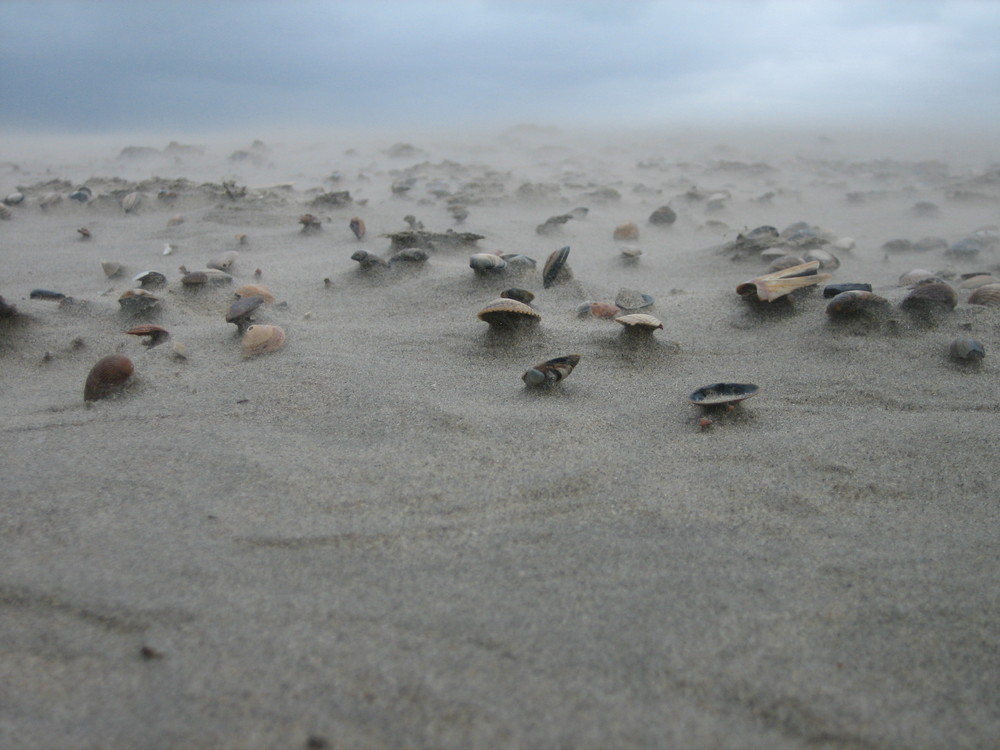 Strand mal anders in Ouddorp