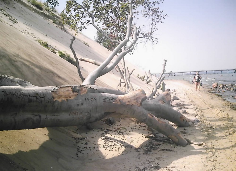 Strand mal etwas anders :) (Rügen)