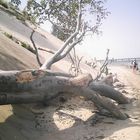 Strand mal etwas anders :) (Rügen)