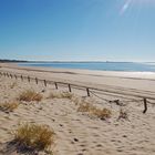 Strand Meia Praia bei Lagos am Morgen