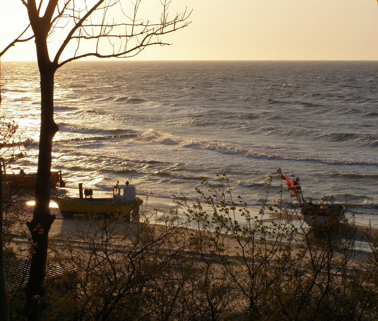 Strand mit Booten