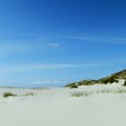 Strand mit Dünen auf der Insel Amrum