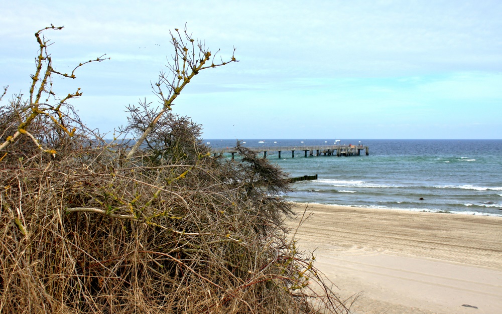 Strand mit Gestrüpp