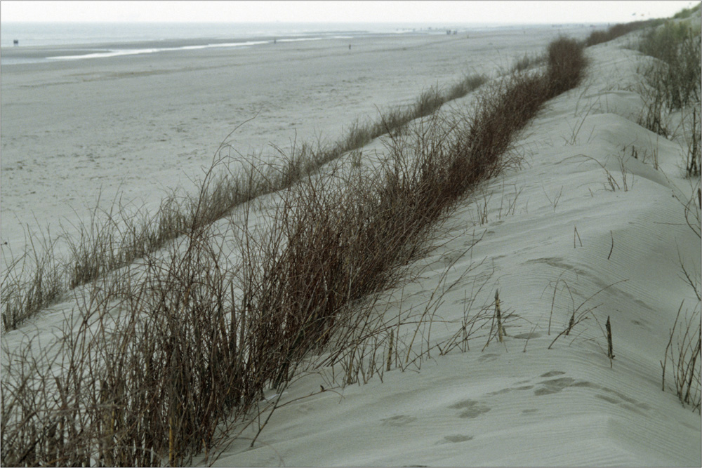 Strand mit Gestrypp