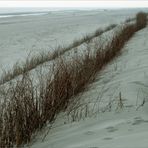 Strand mit Gestrypp