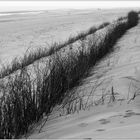 Strand mit Gestrypp sw