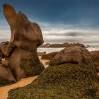 Strand mit kleinen Hindernissen