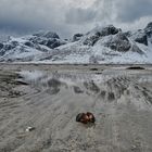 Strand mit Muschel