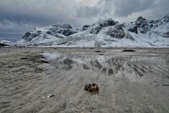 Strand mit Muschel