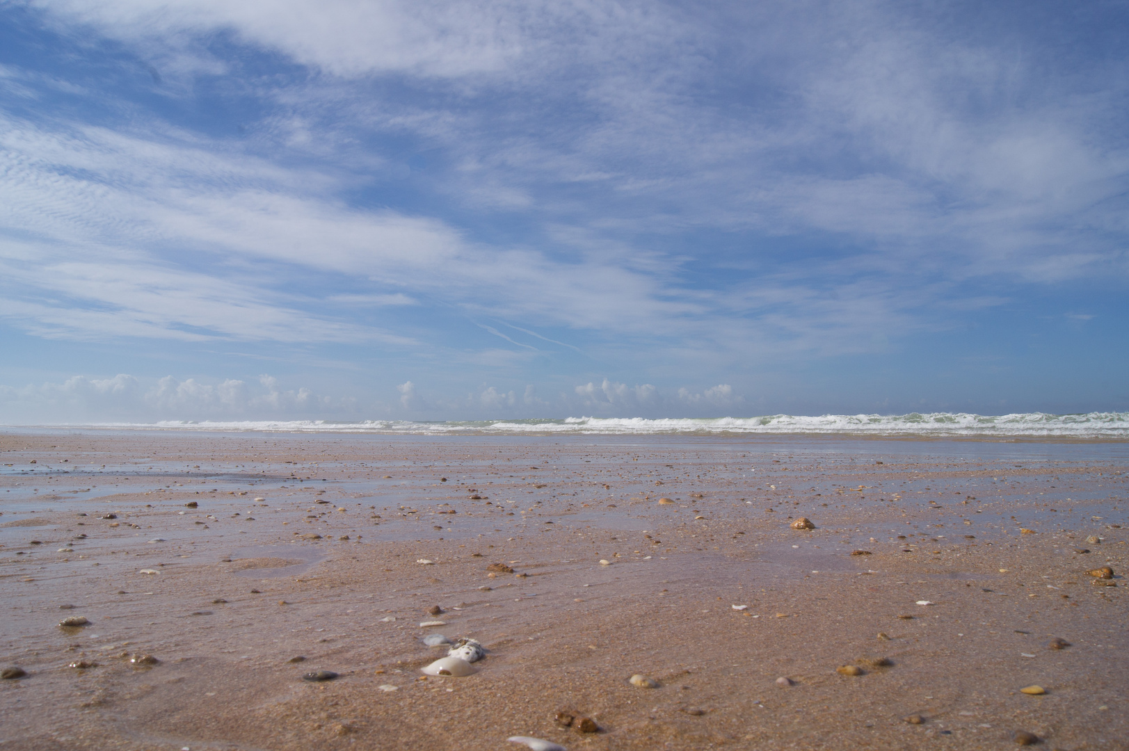 Strand mit Muscheln