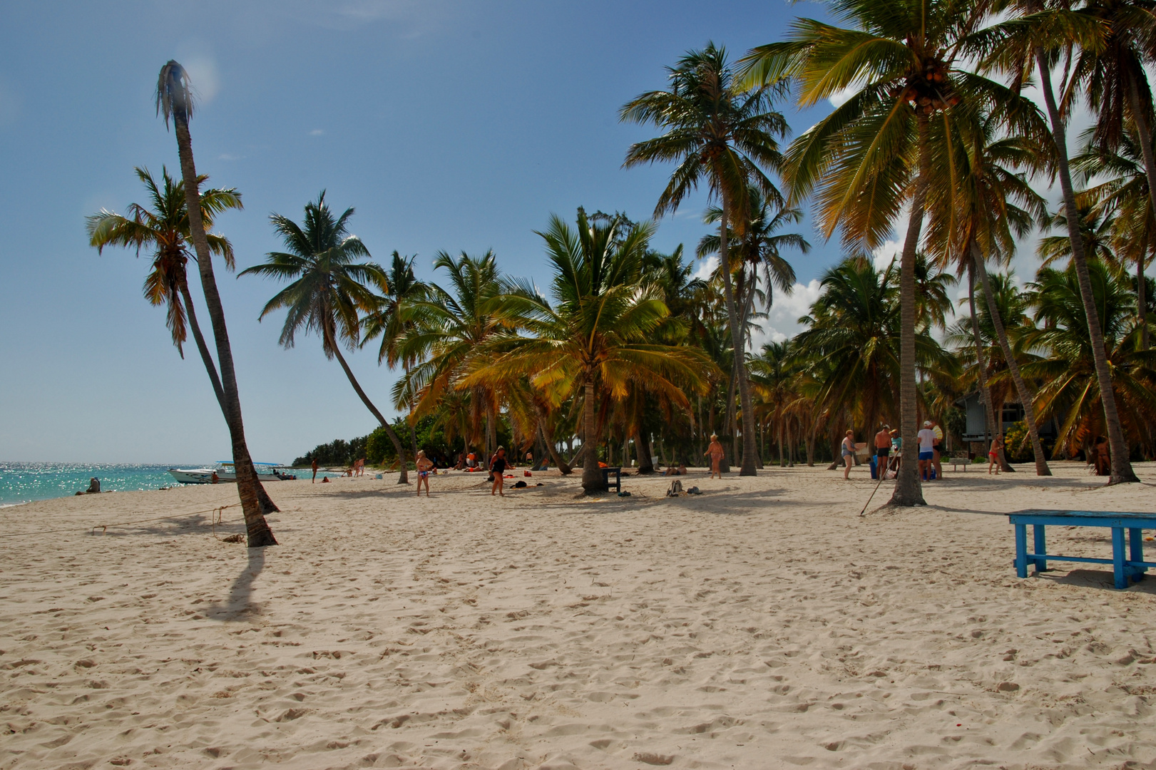 Strand mit Palmen