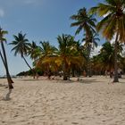 Strand mit Palmen