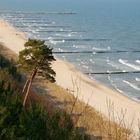 Strand mit Seebrücke in Koserow