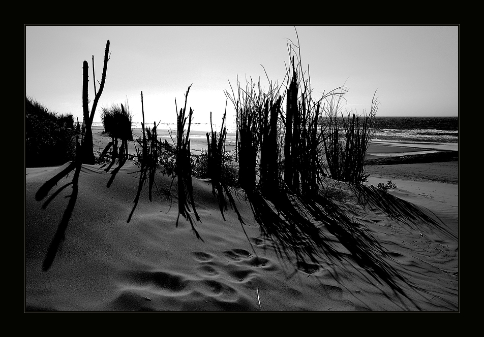 Strand mit Strohhalm