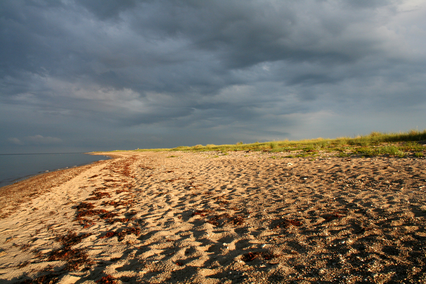 Strand nahe Schleimünde - 2011