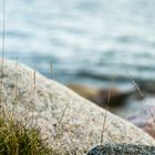 Strand Ostsee