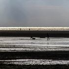 Strand Ouddorp, Holland 2017