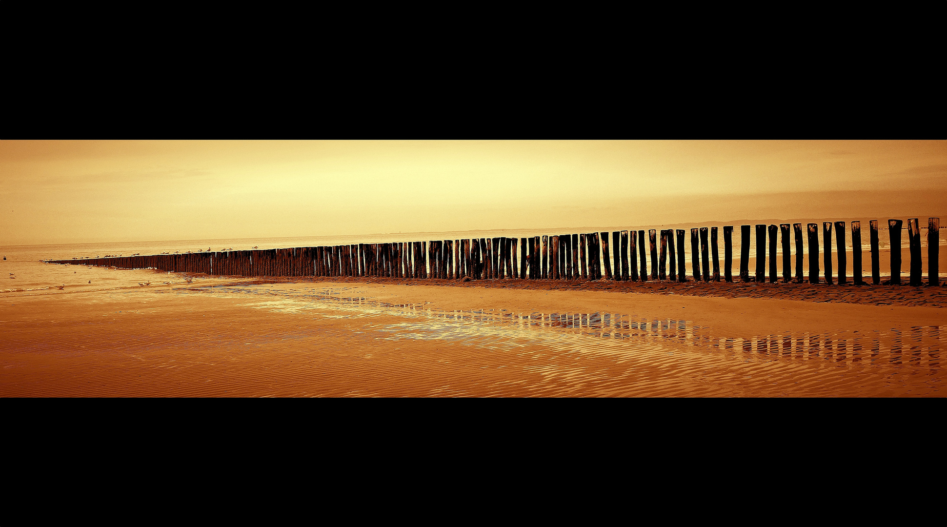 Strand Panorama