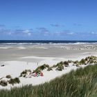 Strand Panorama