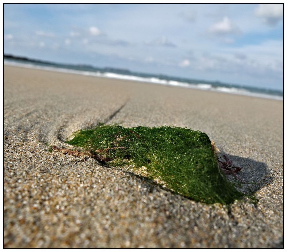 * Strand Perros-Guirec *