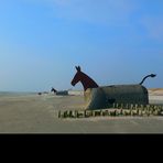Strand-Pferde (Blavand)