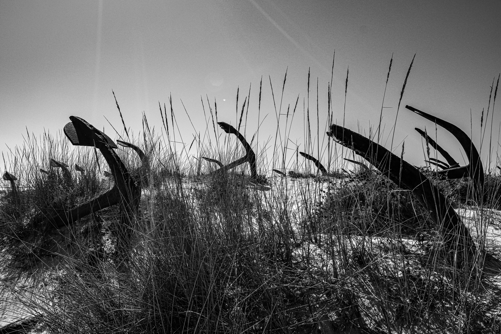 Strand Praia do Barril, Tavira