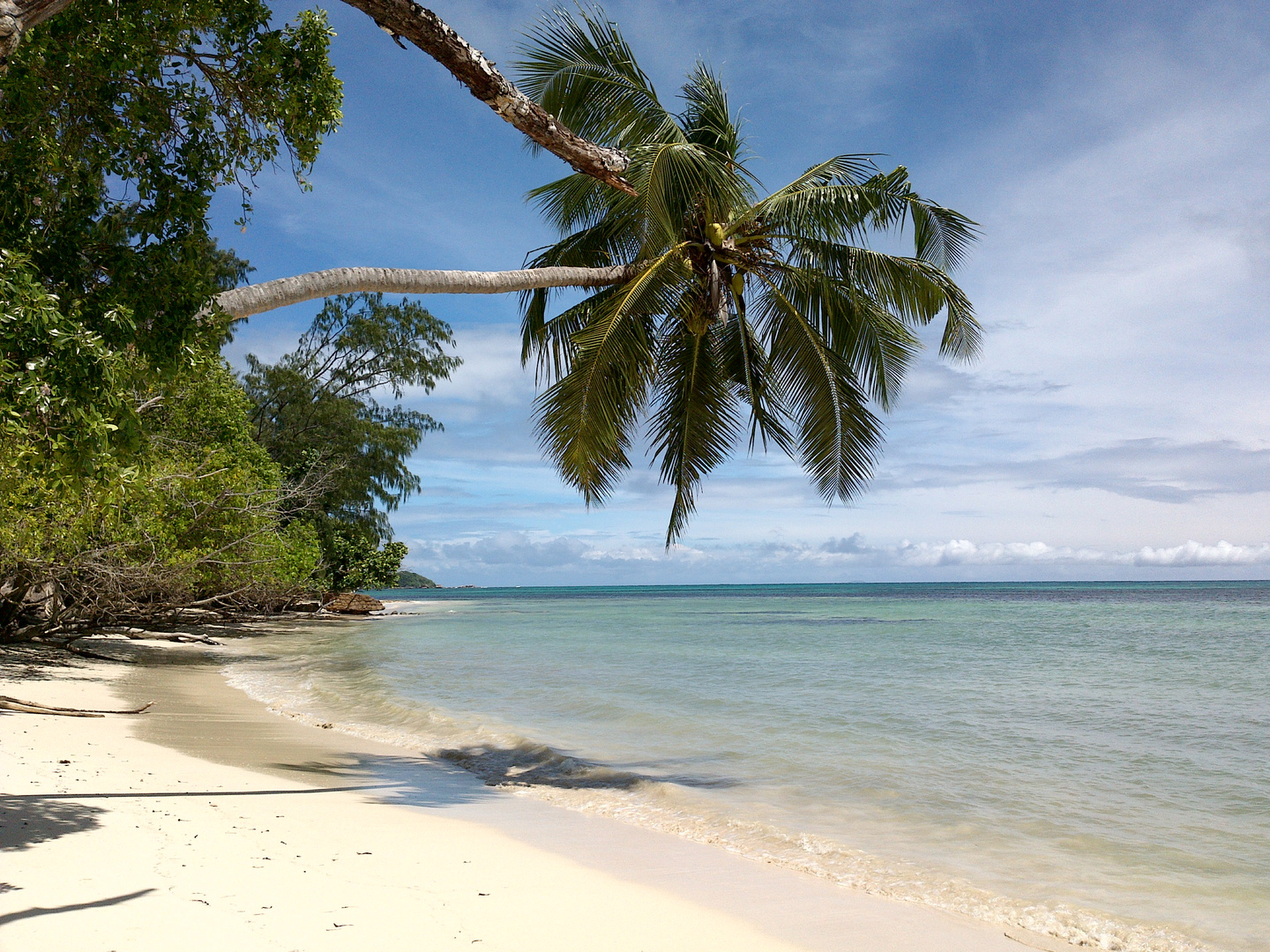 Strand Praslin Seychellen