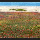 Strand-Promenade