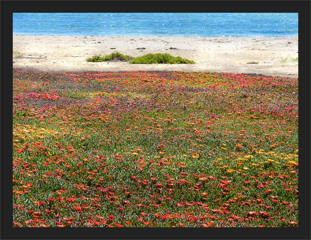 Strand-Promenade