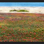 Strand-Promenade