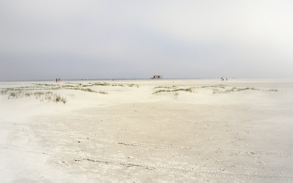 Strand schiermonnikoog