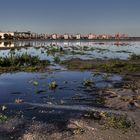 Strand SEE