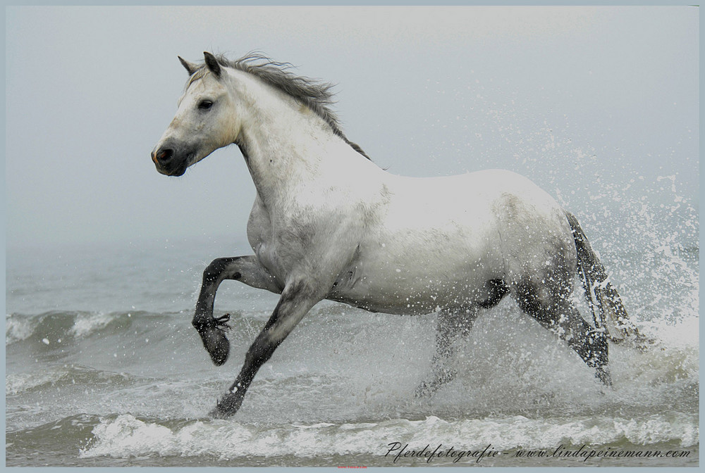 Strand Spaß