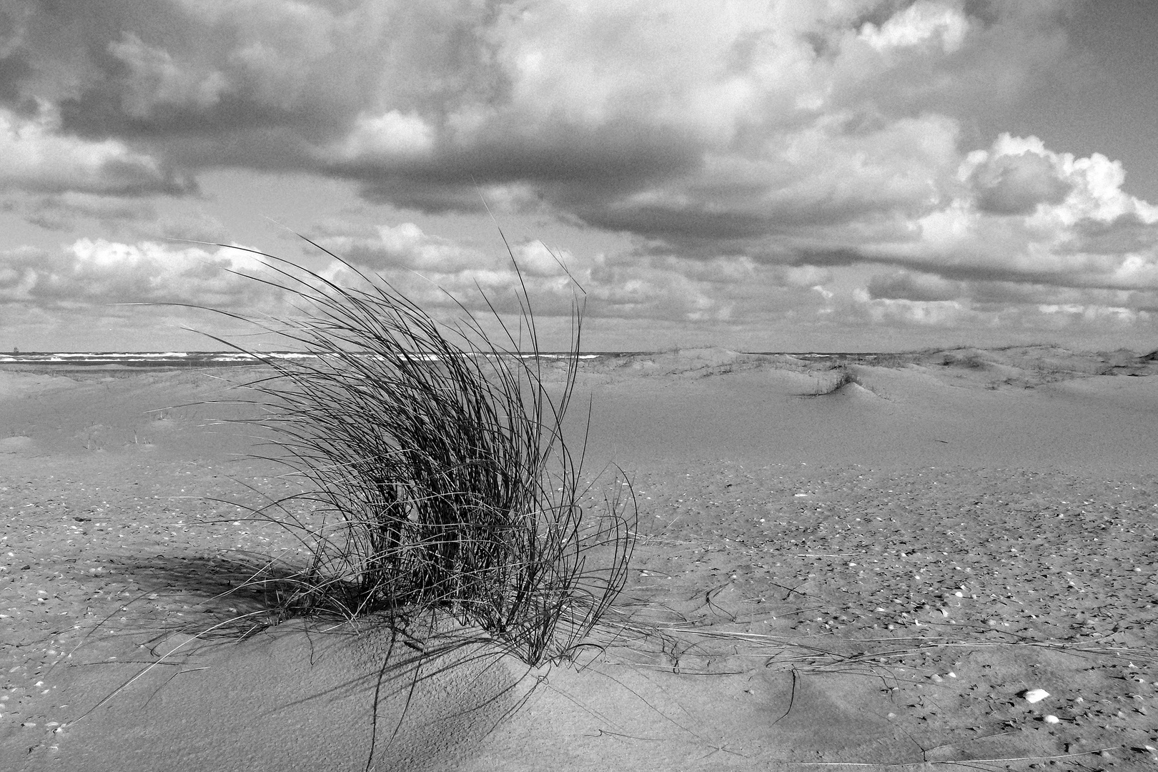 Strand-Spaziergang