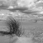 Strand-Spaziergang