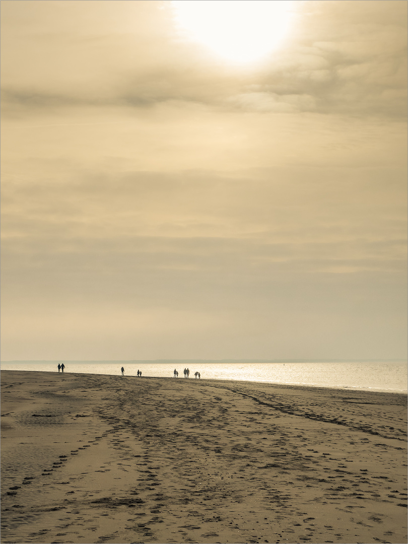 Strand Spaziergang bei Ouddorp