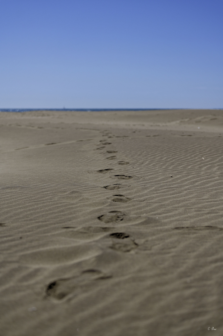 Strand spuren