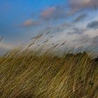 Strand St. Peter Ording